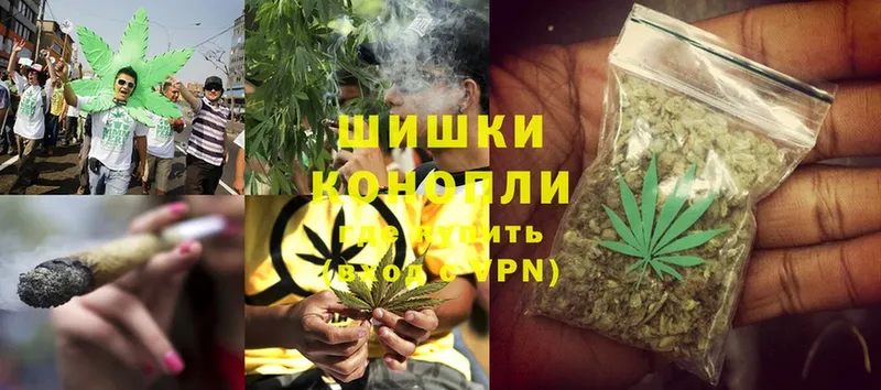 Каннабис Ganja  Болохово 